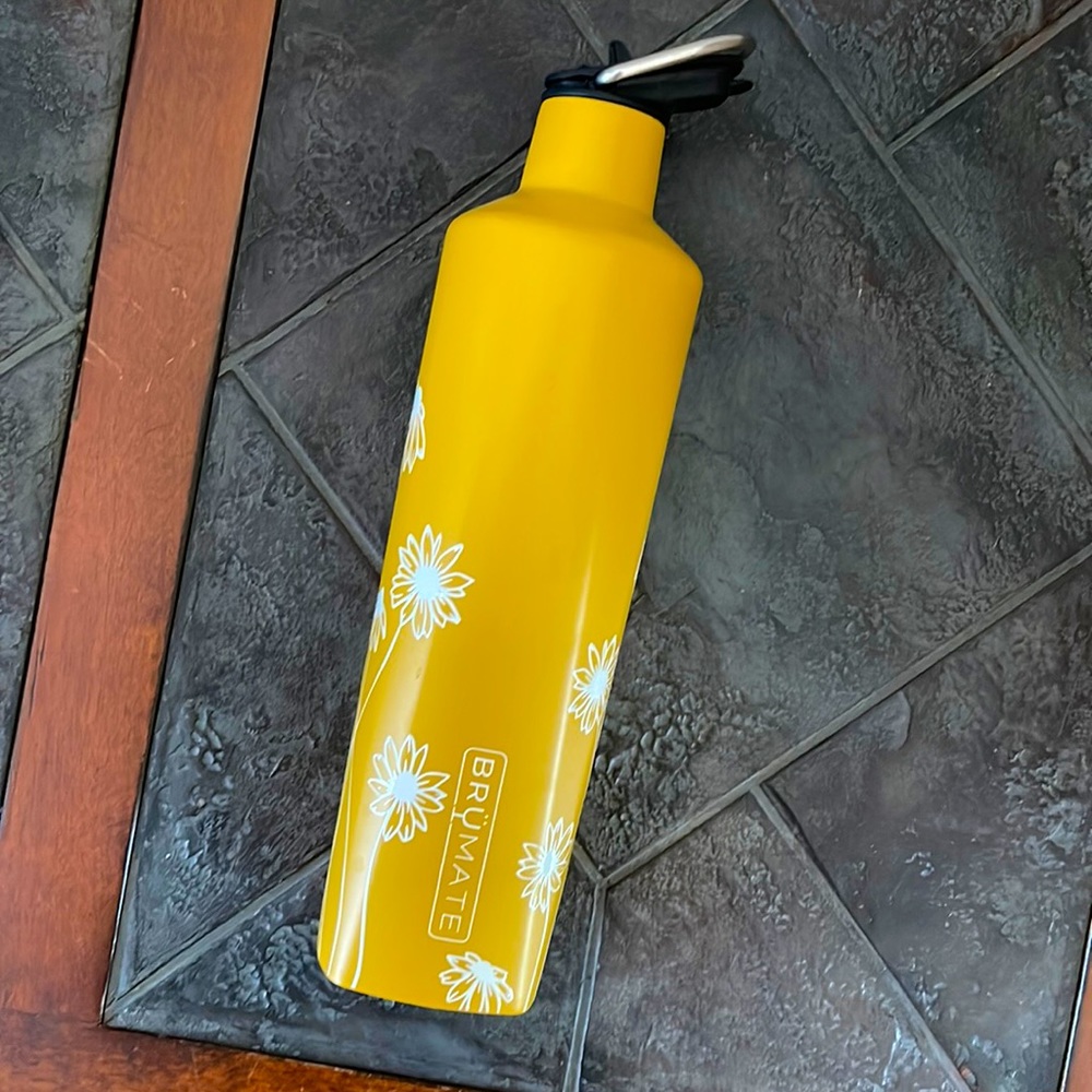 COPY - Brümate Water Bottle